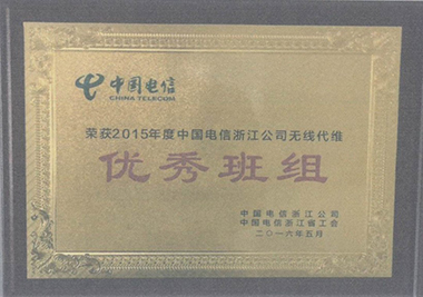 2015年度中國電信浙江公司無線代維優秀班組